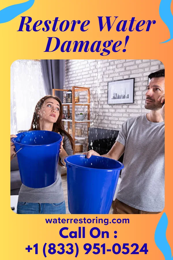 water restoration North Damage Recovery Specialists Salem Heights