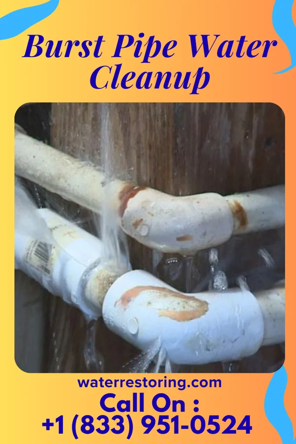 Burst Pipe Water Cleanup in Salem Heights, OH