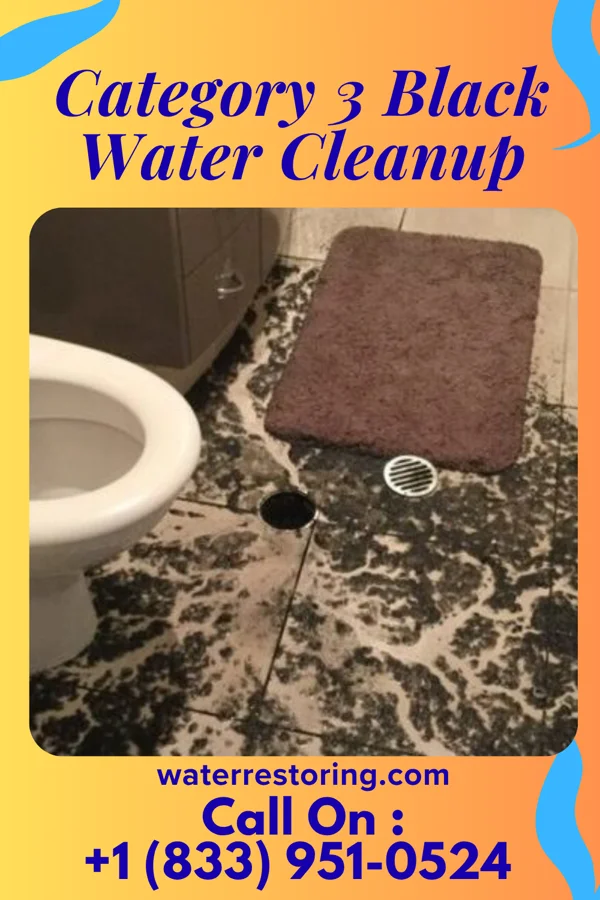 Category 3 Black Water Cleanup in Salem Heights, OH
