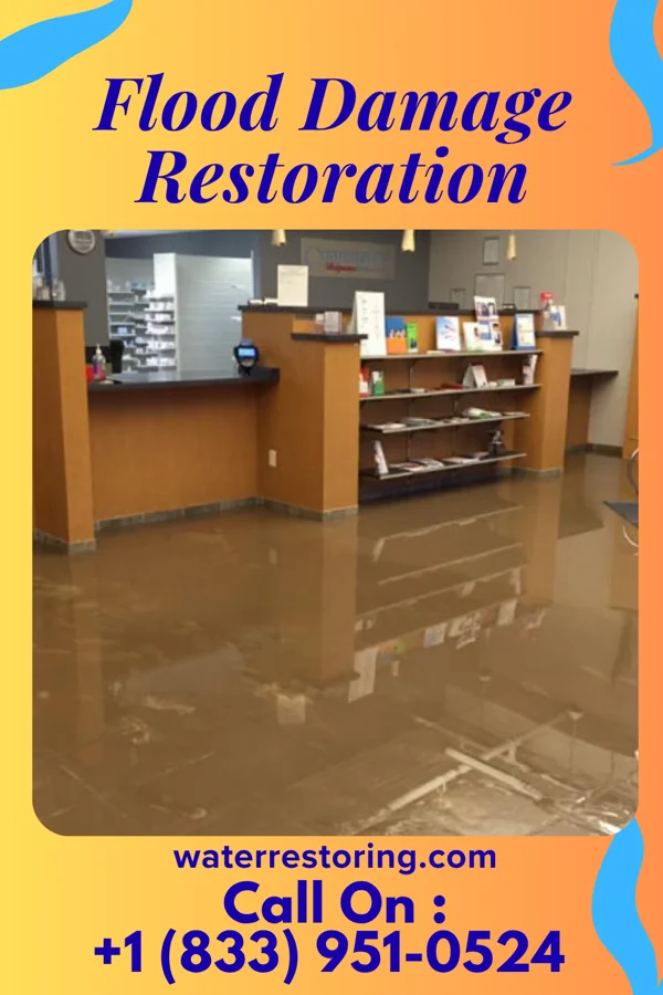 Flood Damage Restoration in Salem Heights, OH