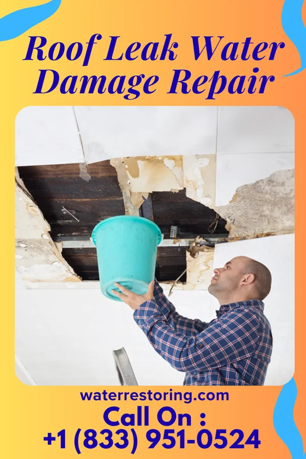 Roof Leak Water Damage Repair in Salem Heights, OH
