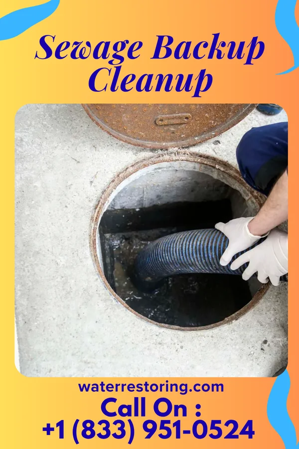 Sewage Backup Cleanup in Salem Heights, OH