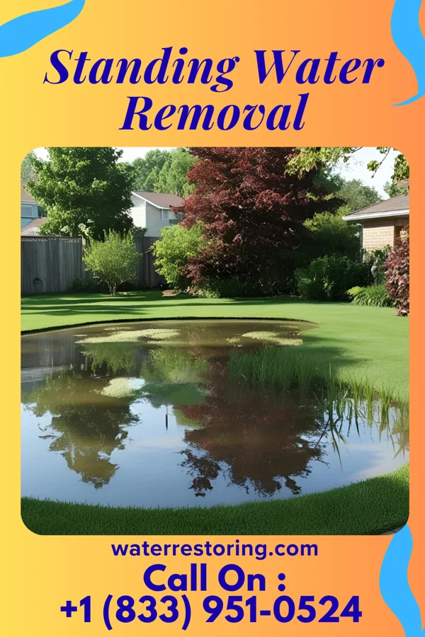 Standing Water Removal in Salem Heights, OH